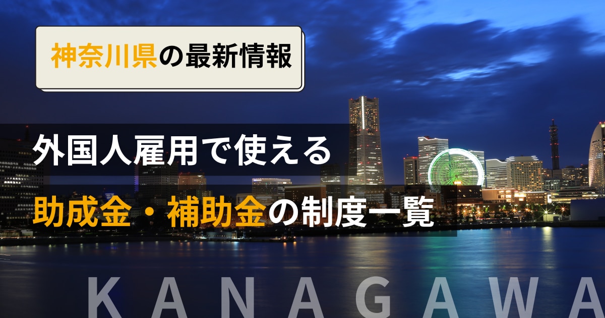 catch-img