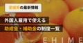 next-article-image