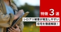 prev-article-image