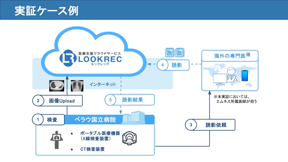 遠隔医療システム実証ケース例の解説図