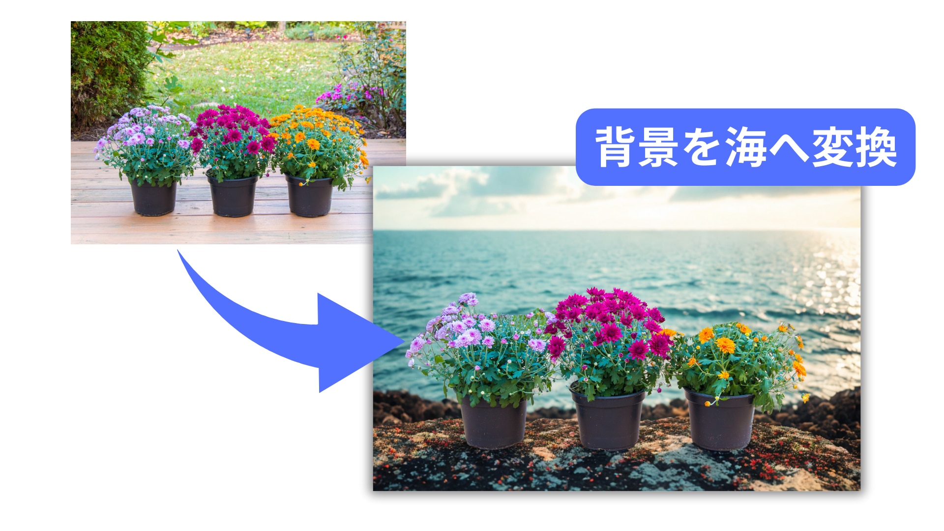 背景生成で実際に生成した画像