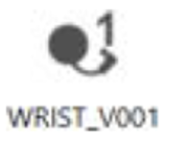 WRIST_V001