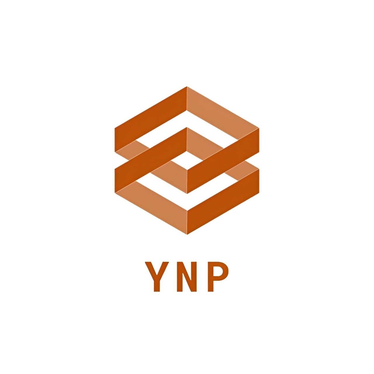 株式会社YNP ロゴ