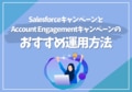prev-article-image