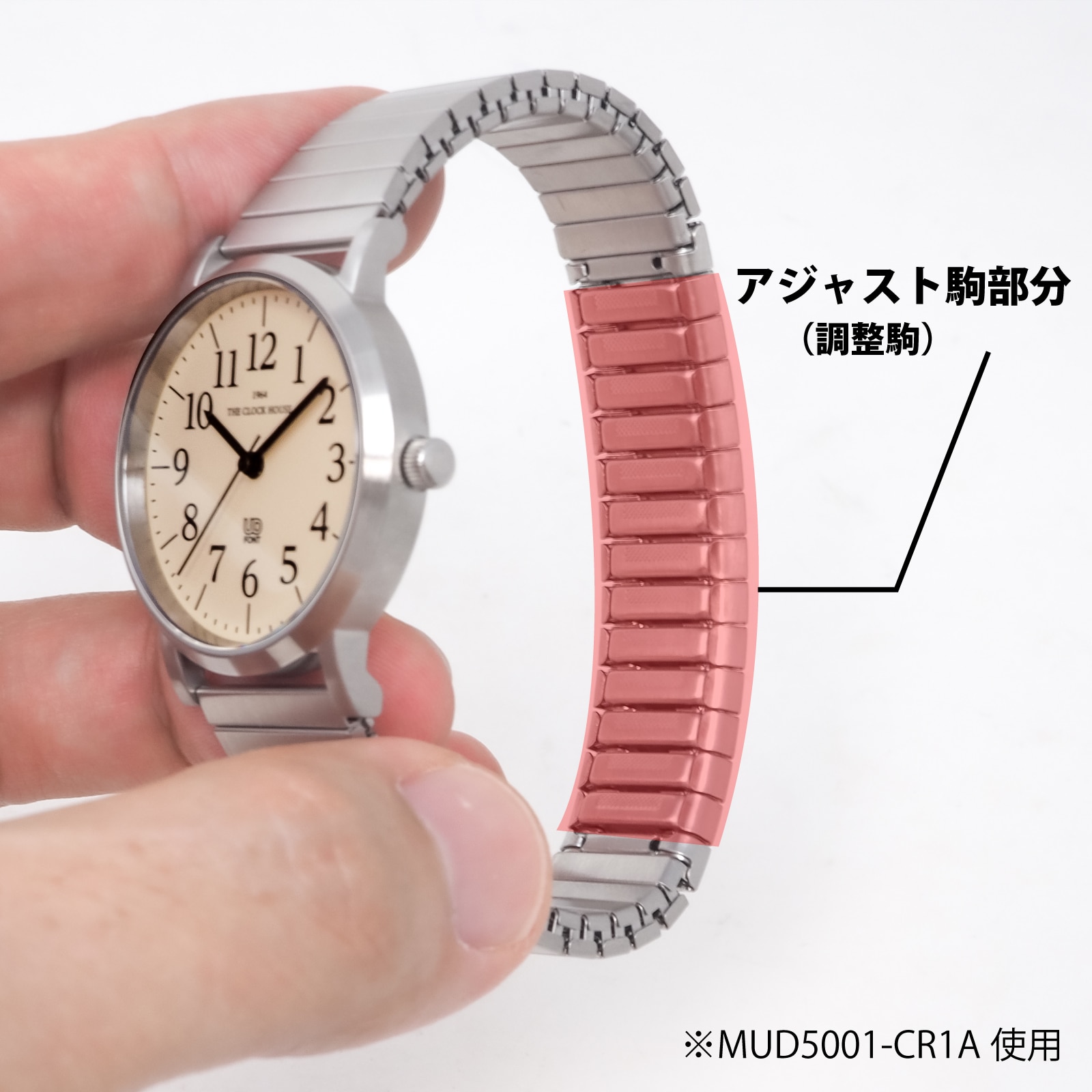 エクスパンションバンドの説明