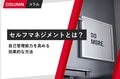 prev-article-image
