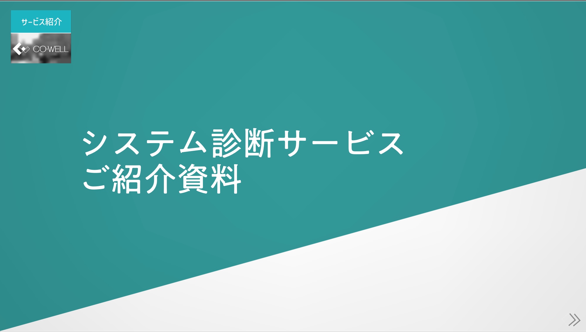 システム診断サービス