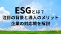 next-article-image