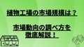 next-article-image