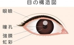 虹彩認証システムとは
