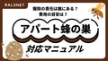 next-article-image