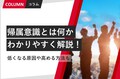 next-article-image