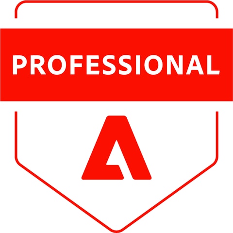 Professional Badge