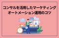 next-article-image