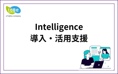 Intelligence 導入・活用支援