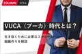 next-article-image