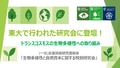 next-article-image