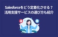 prev-article-image