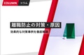 next-article-image