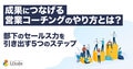 prev-article-image