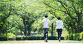 prev-article-image