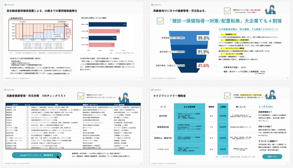 高齢者雇用と健康管理対策ガイド ─ 最新法改正・補助金情報と17の実践チェックリスト付き ─　02