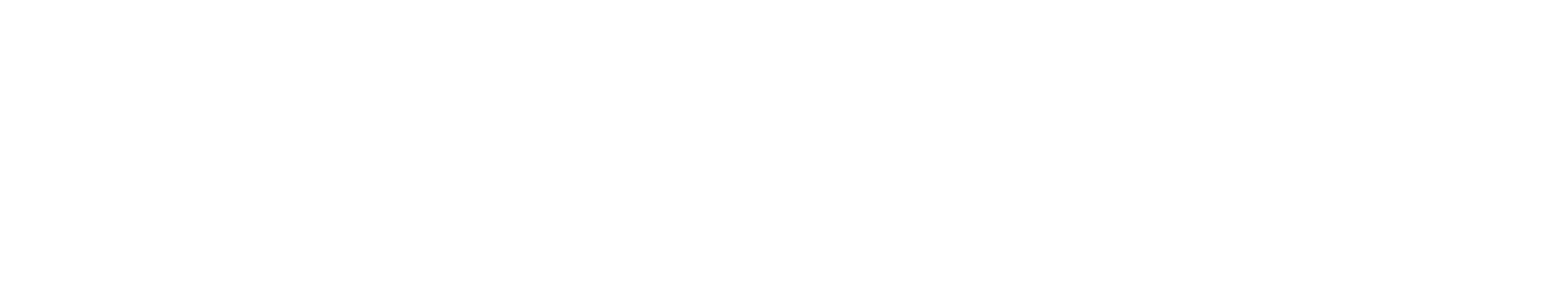 TeacherMatic white logo
