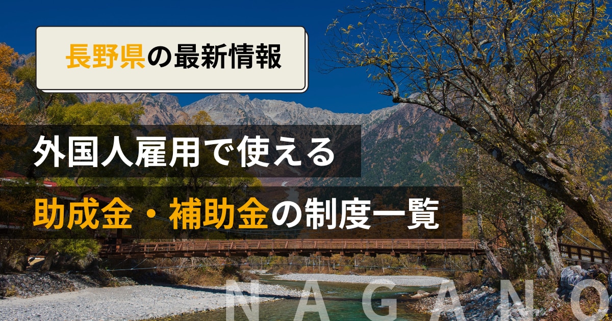 catch-img