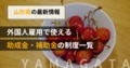 next-article-image