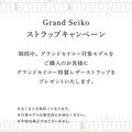 next-article-image