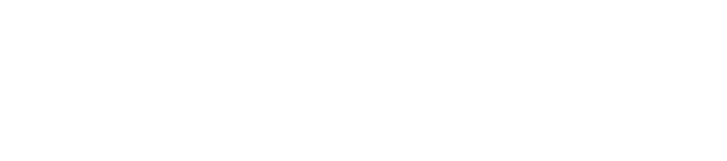 ネオキャリアロゴ