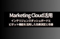 prev-article-image