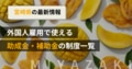 next-article-image