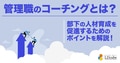 prev-article-image
