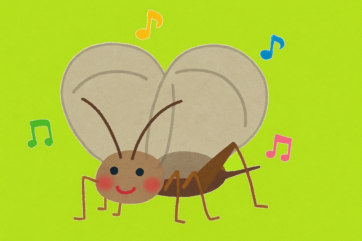 catch-img
