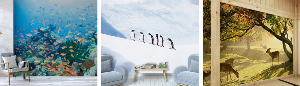動物モチーフの写真壁紙