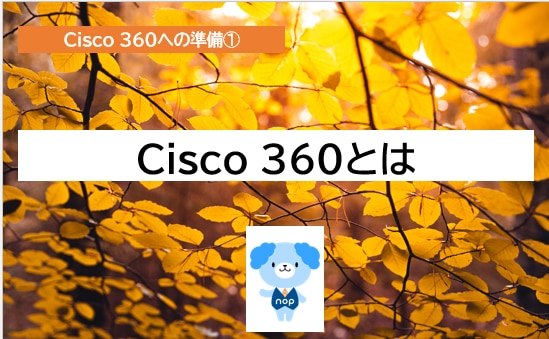 Cisco 360