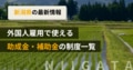 next-article-image