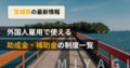 next-article-image