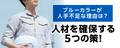 next-article-image