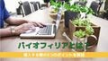 next-article-image