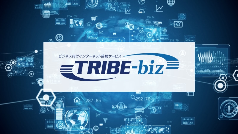 法人向けMVNO 通信回線 TRIBE-biz