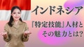 prev-article-image