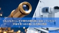 prev-article-image