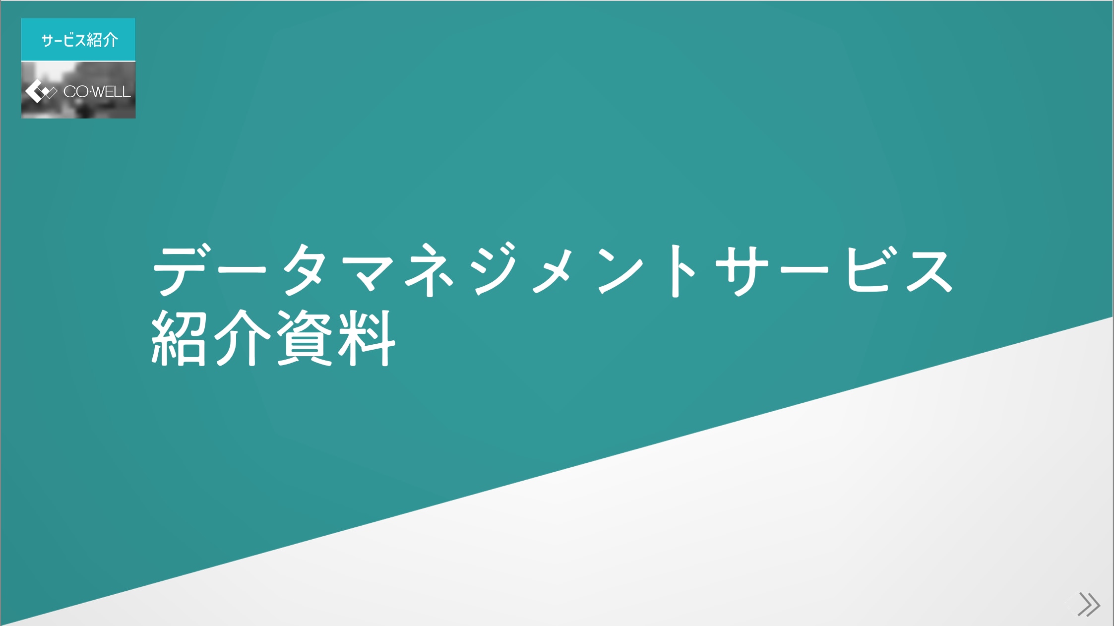 データマネジメントサービス資料サムネ