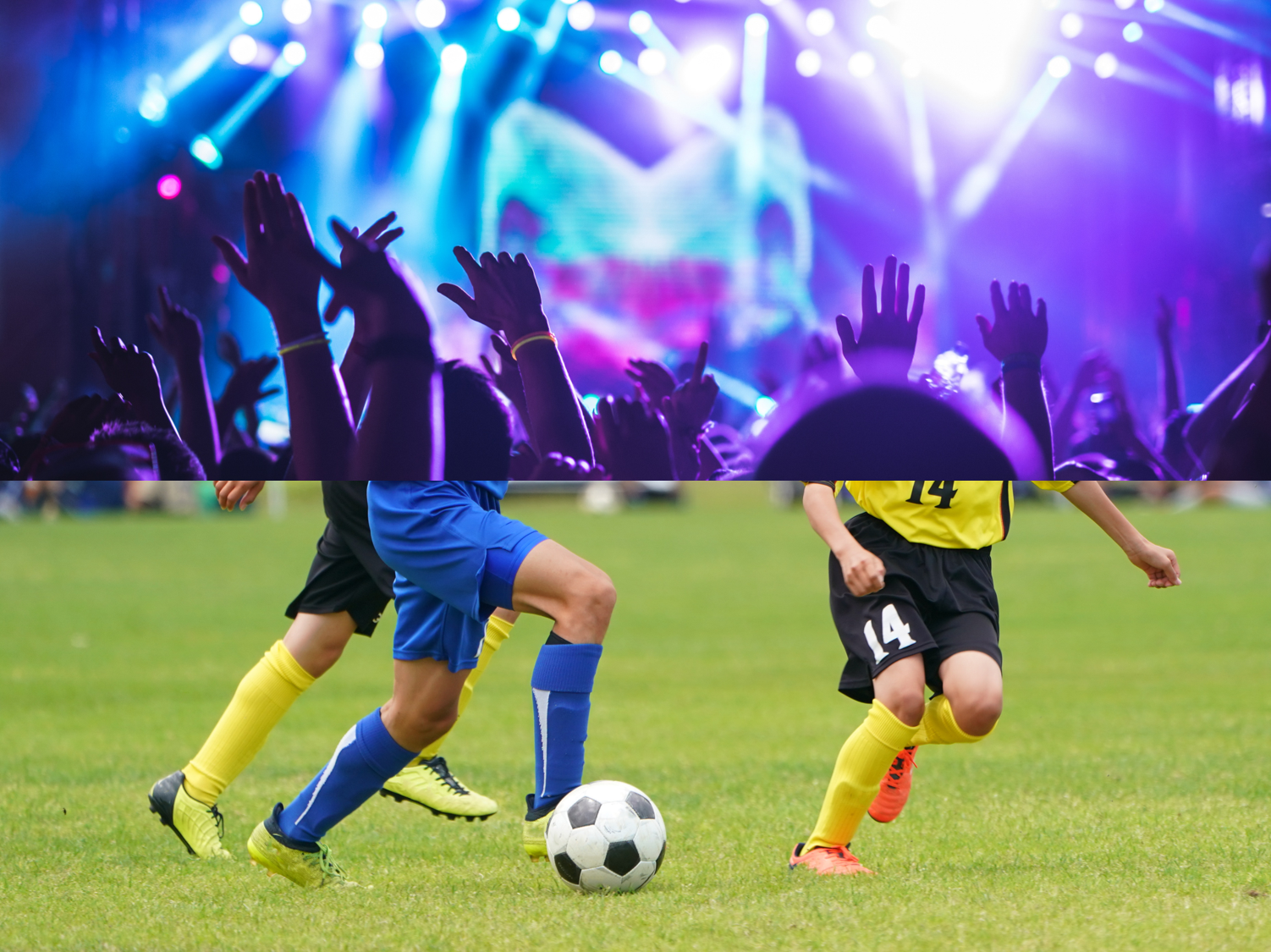 他業種での実績