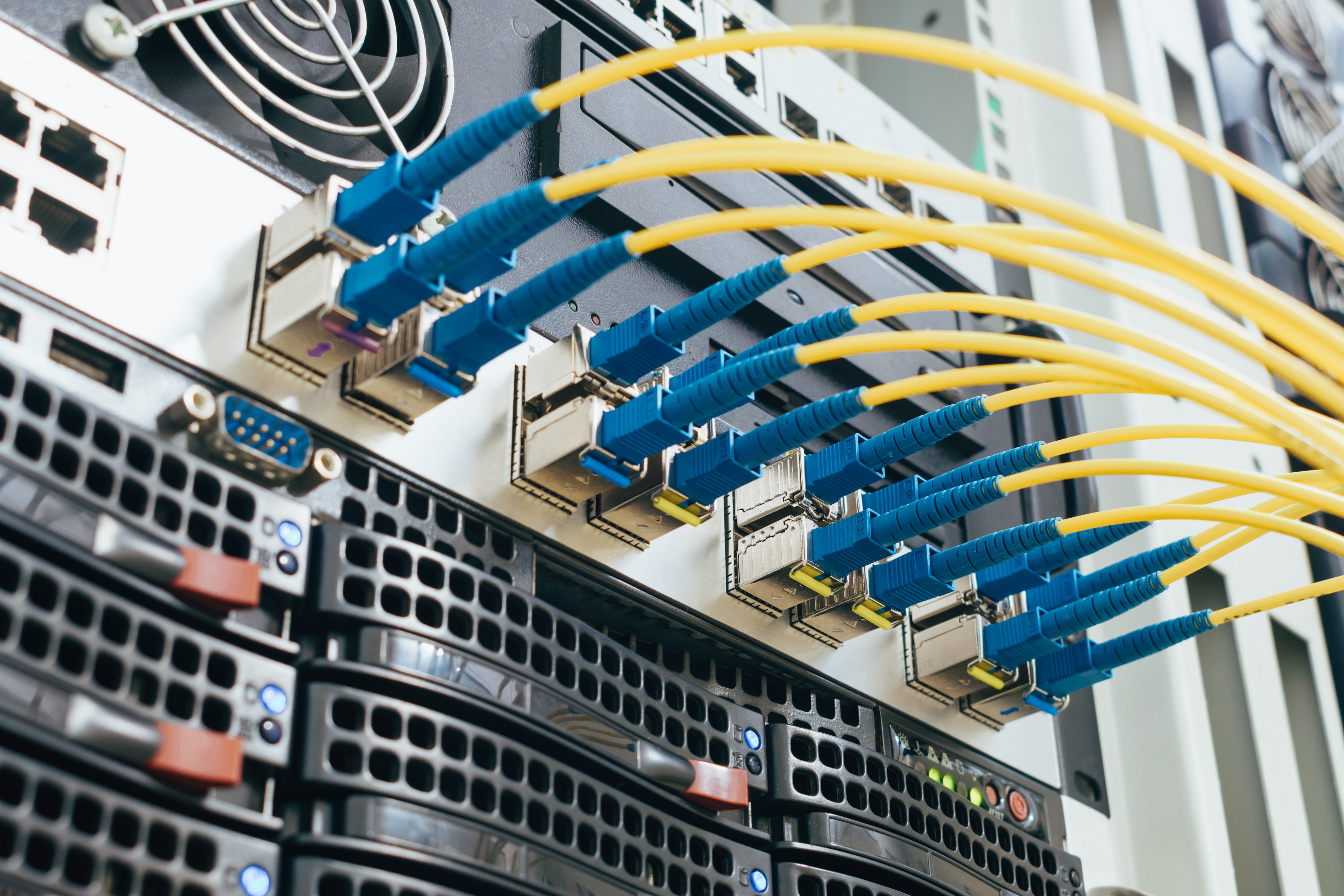 ネットワーク構築