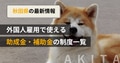 next-article-image