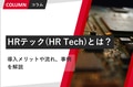 next-article-image
