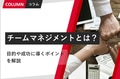prev-article-image